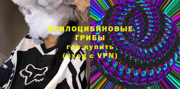 дмт Аркадак