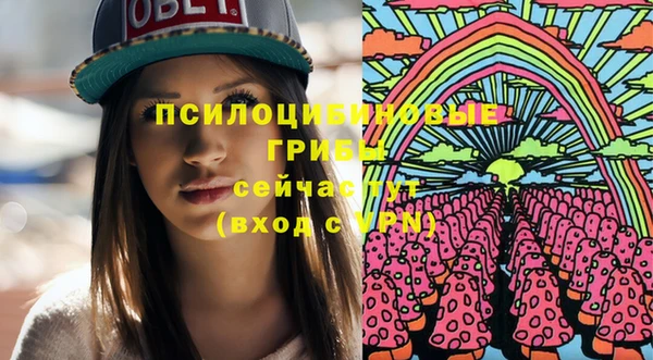 дмт Аркадак