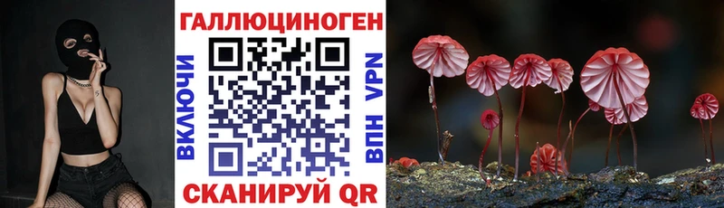 darknet наркотические препараты  Камешково  Галлюциногенные грибы Psilocybine cubensis 